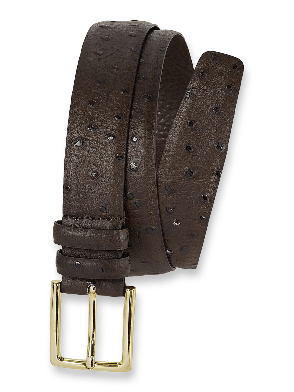 Product Image of Ostrich Embossed Belt-Brown