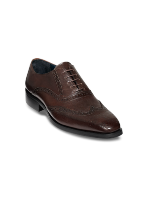 Watson Oxford - Dark Brown