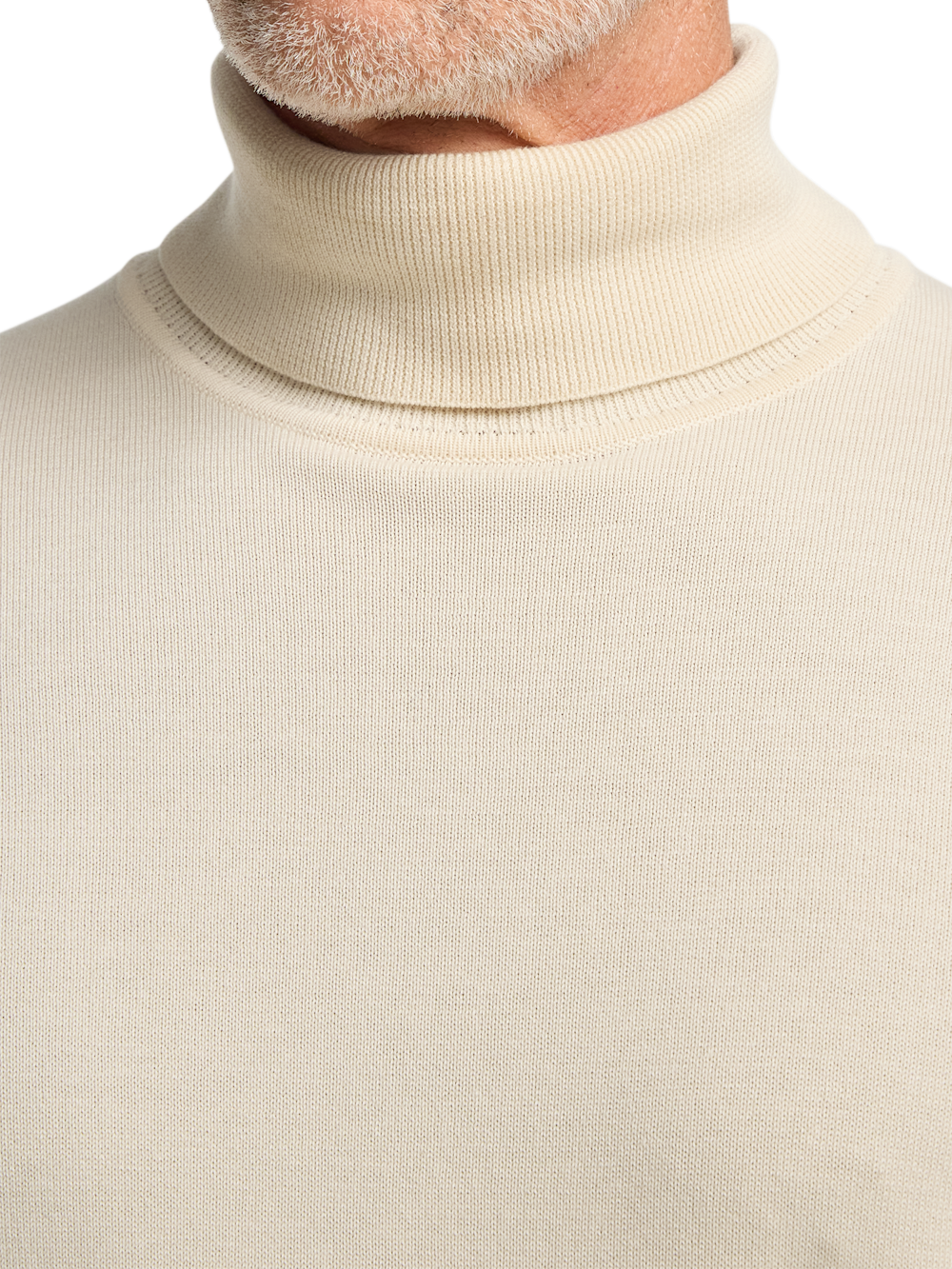 Alternate Image of Supima Cotton Turtleneck-2