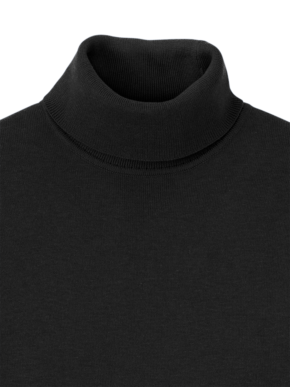 Alternate Image of Supima Cotton Turtleneck-5