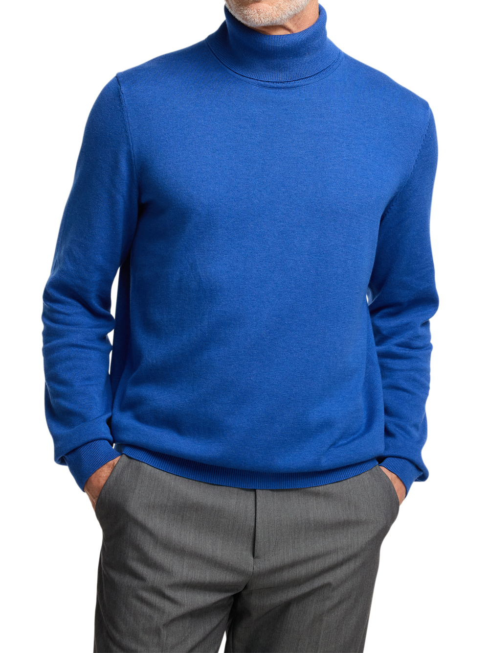 Alternate Image of Supima Cotton Turtleneck-1