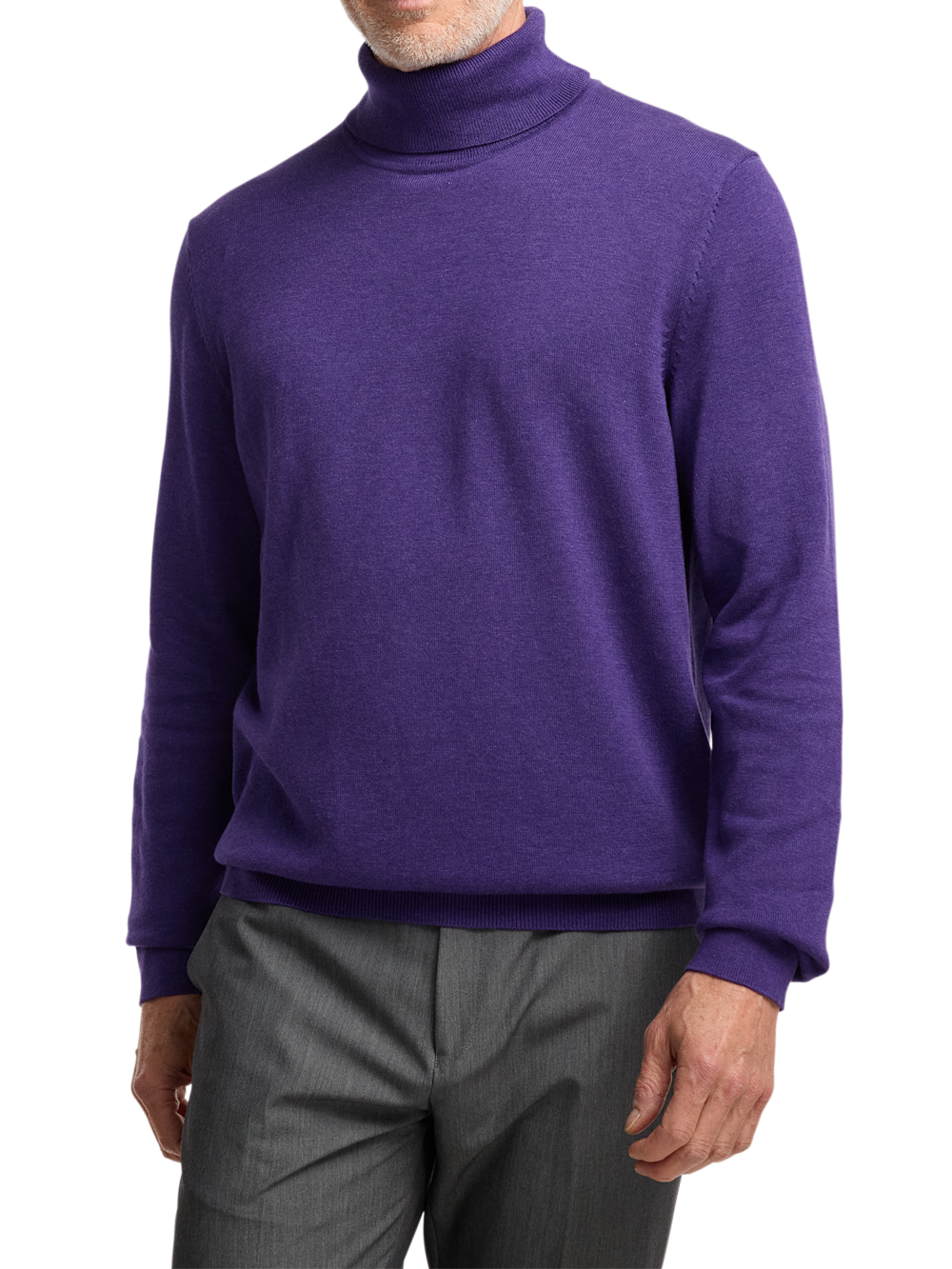 Alternate Image of Supima Cotton Turtleneck-1