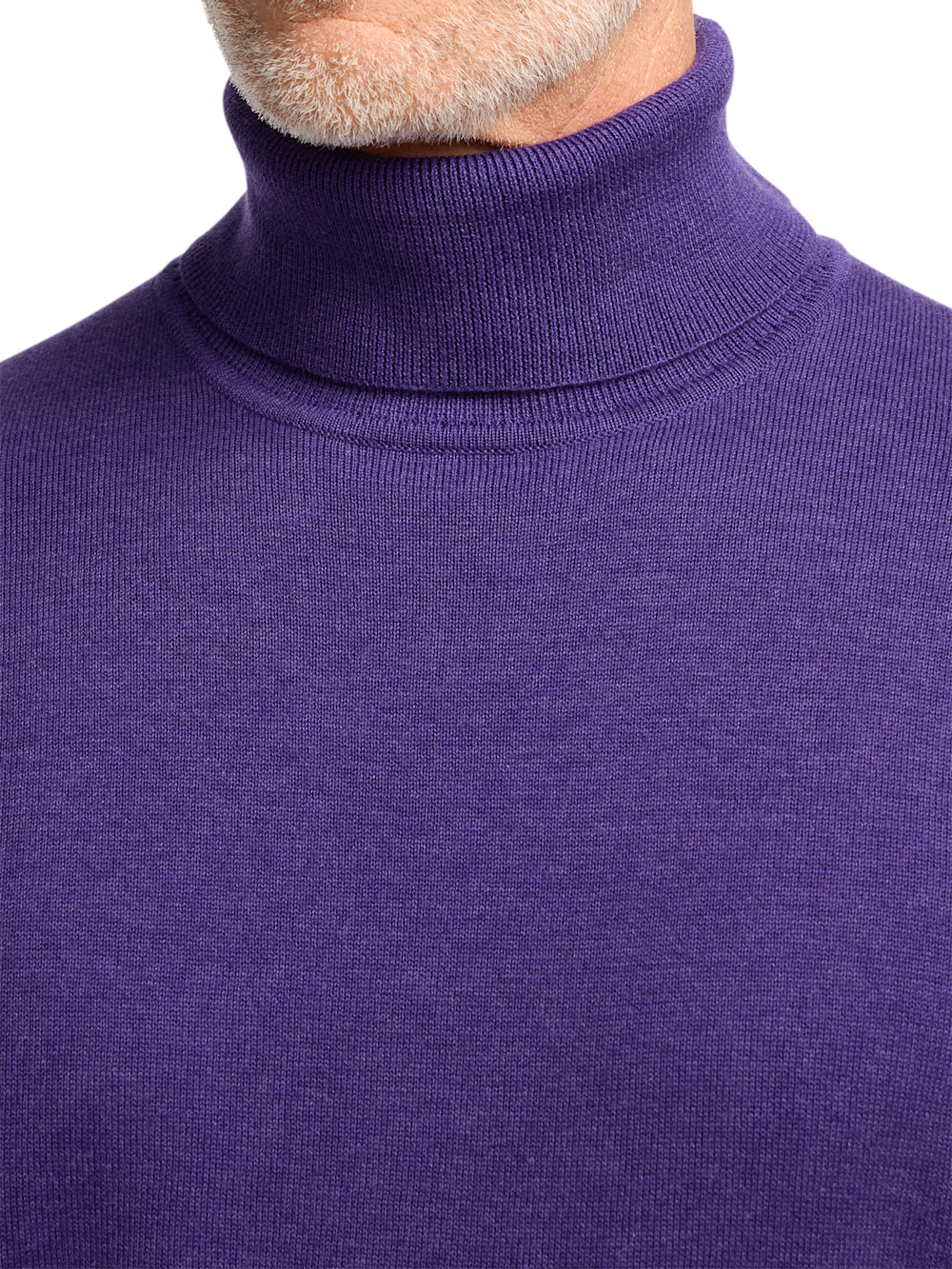 Alternate Image of Supima Cotton Turtleneck-2