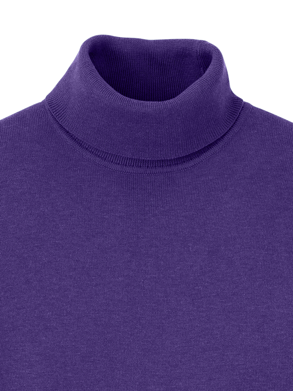 Alternate Image of Supima Cotton Turtleneck-5