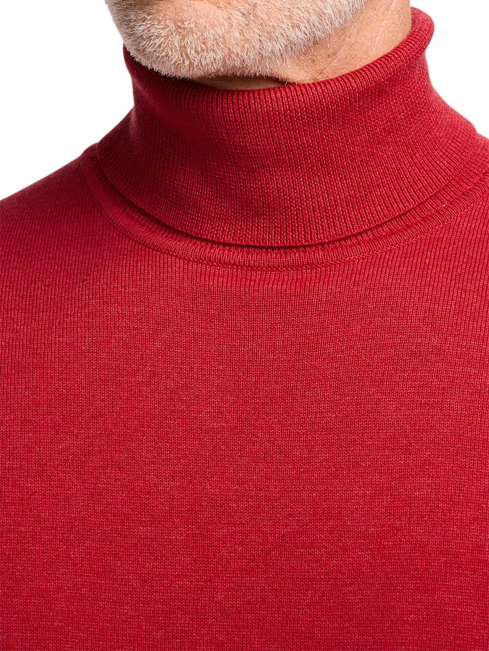 Alternate Image of Supima Cotton Turtleneck-2