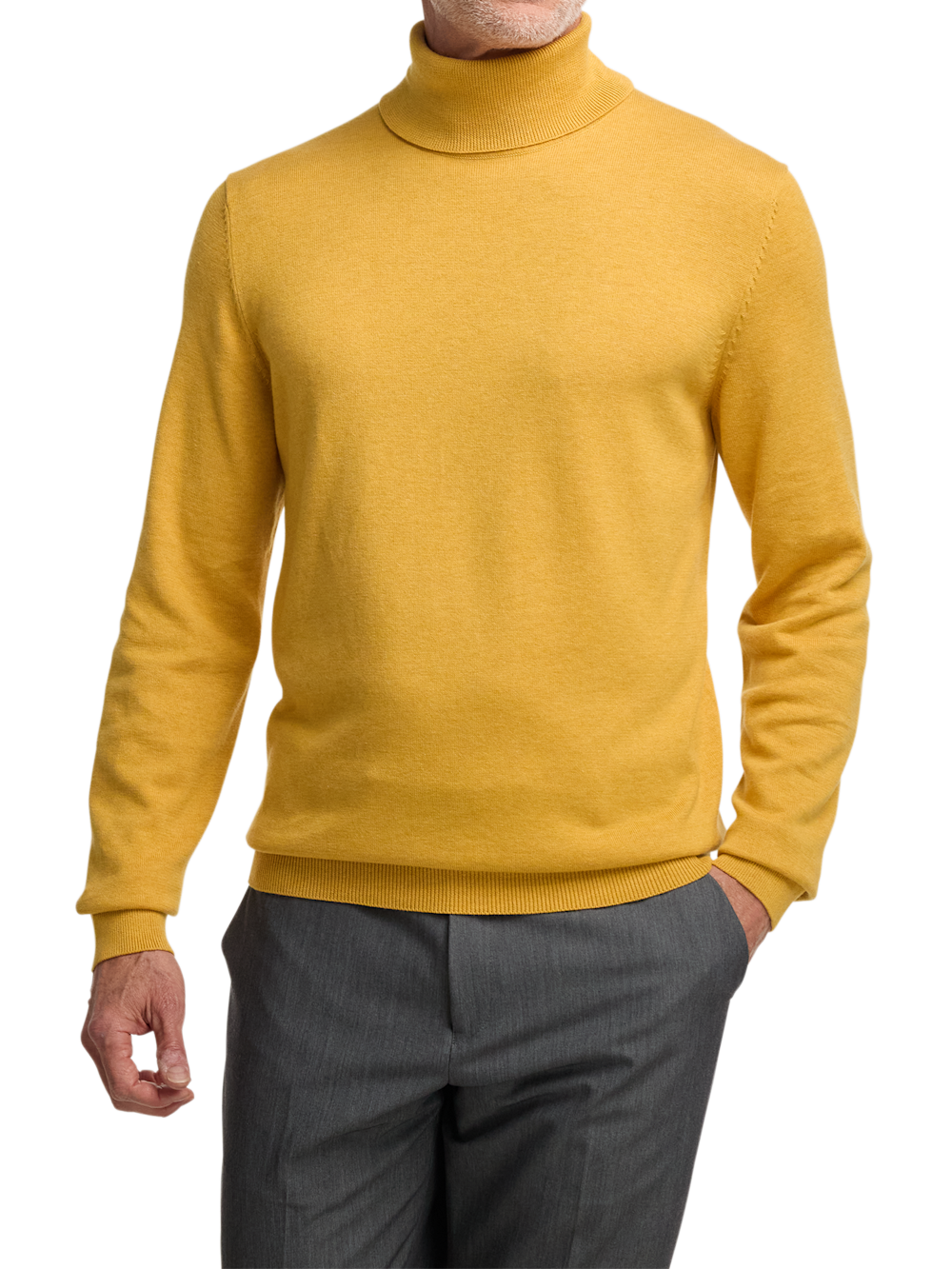 Alternate Image of Supima Cotton Turtleneck-1