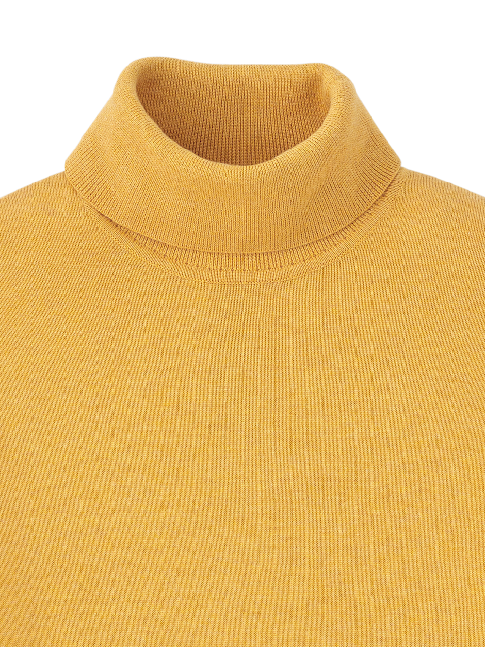 Alternate Image of Supima Cotton Turtleneck-5