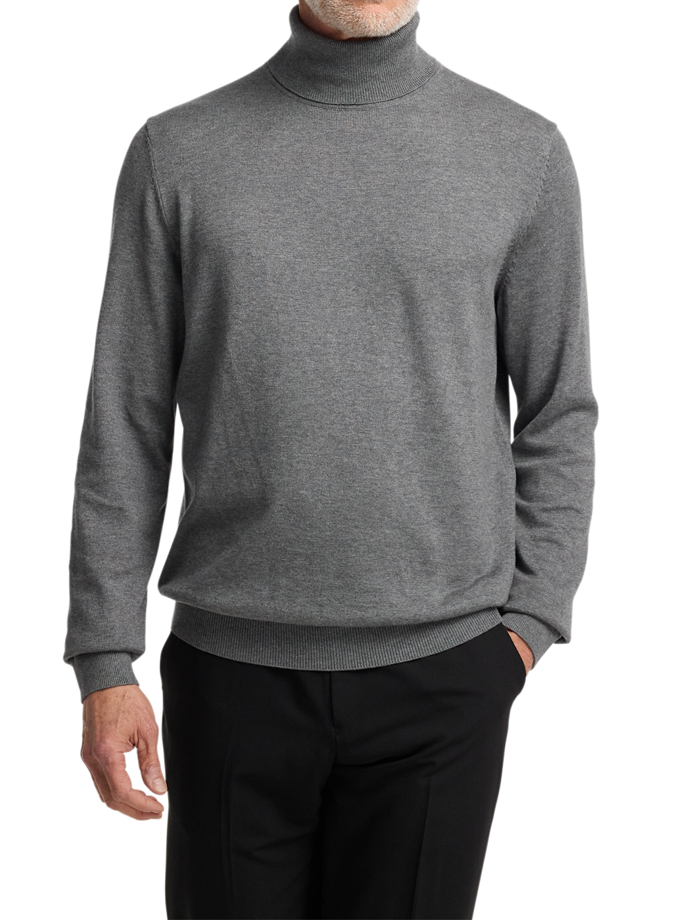 Alternate Image of Supima Cotton Turtleneck-1