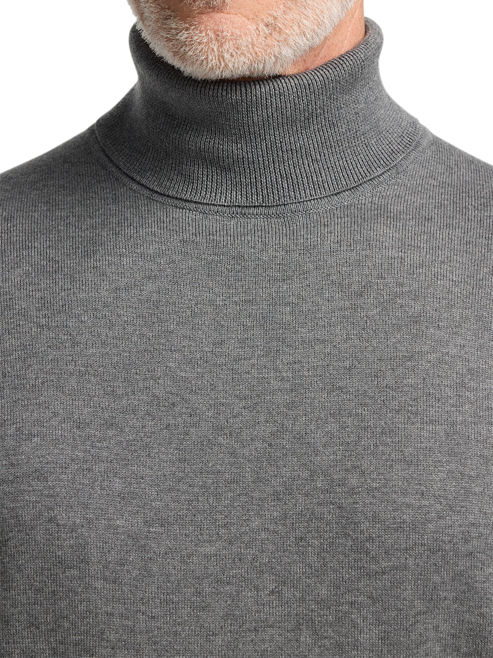 Alternate Image of Supima Cotton Turtleneck-2