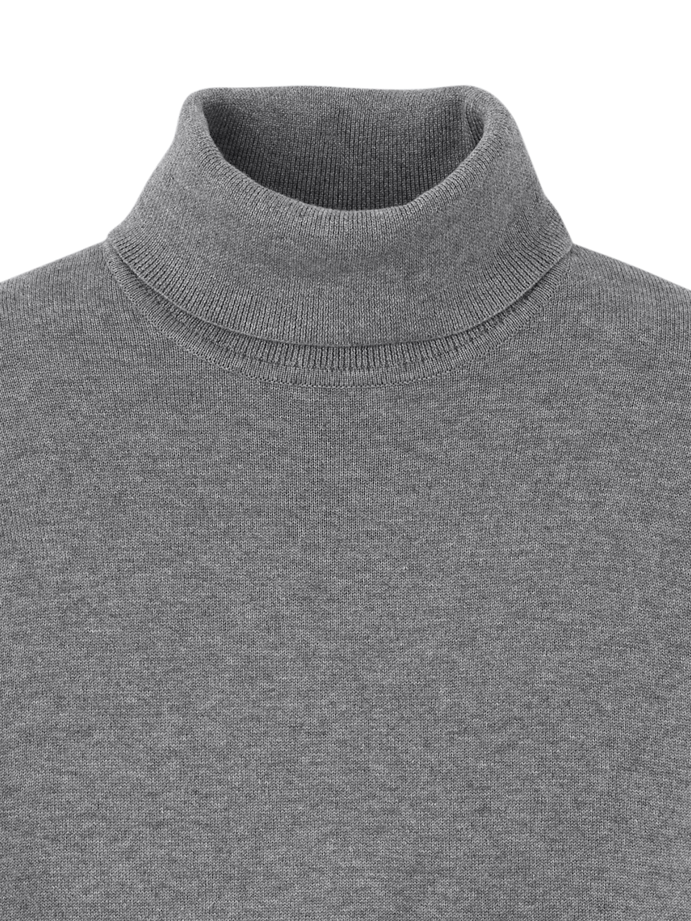 Alternate Image of Supima Cotton Turtleneck-5