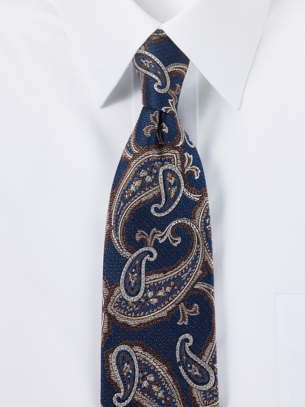 Paisley Woven Silk Tie