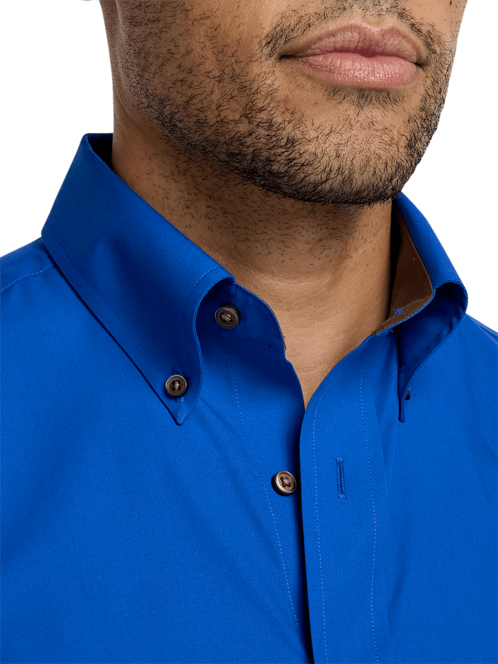 Non-Iron Cotton Solid Dress Shirt With Contrast Trim - Cobalt Paul Fredrick Non-Iron Cotton Solid Dress Shirt With Contrast Trim - Cobalt Paul Fredrick