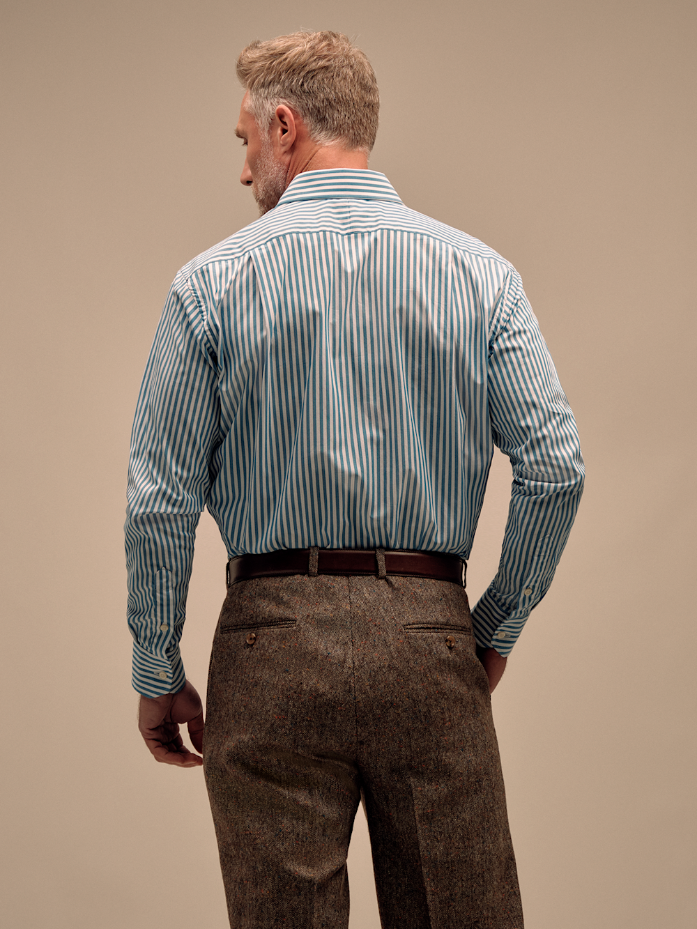 T/f Stripe Spread Collar Dress Shirt