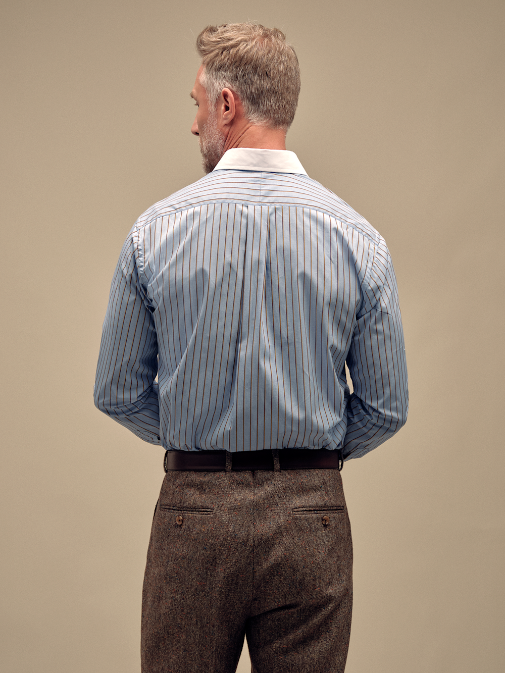 T/f Stripe Club Collar Dress Shirt