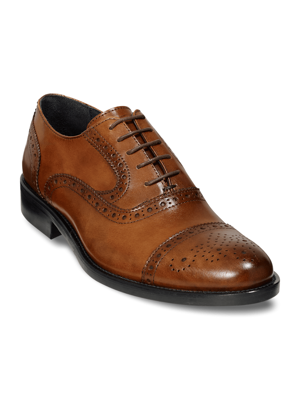 Product Image of Joey Oxford-Chestnut