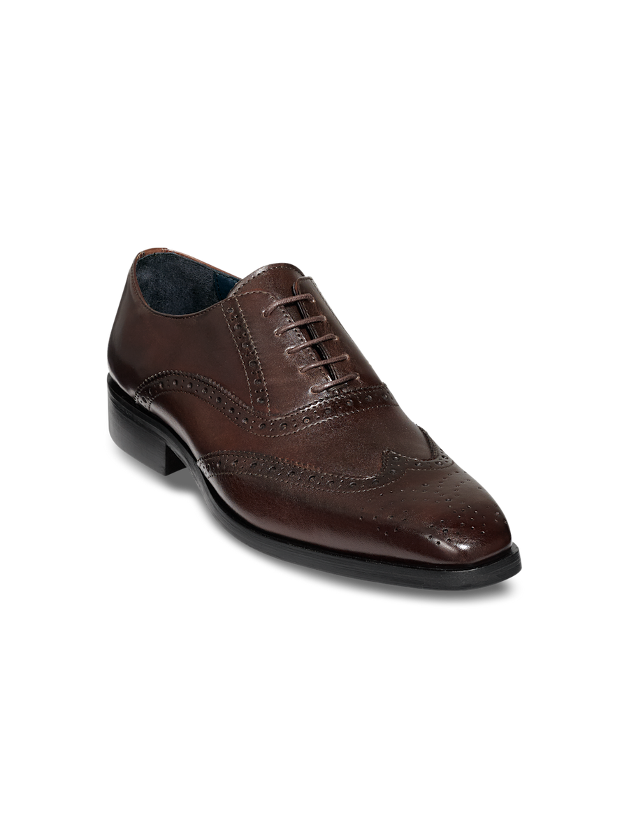 Watson Oxford - Dark Brown – Paul Fredrick