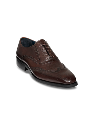 Watson Oxford - Dark Brown