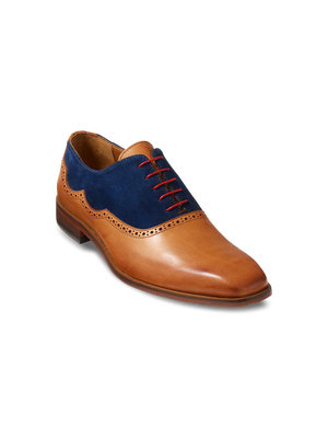 Nicholas Oxford - Chestnut/navy