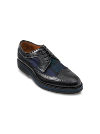 Drake Derby - Navy/green