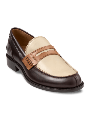 Glenn Penny Loafer - Brown Multi