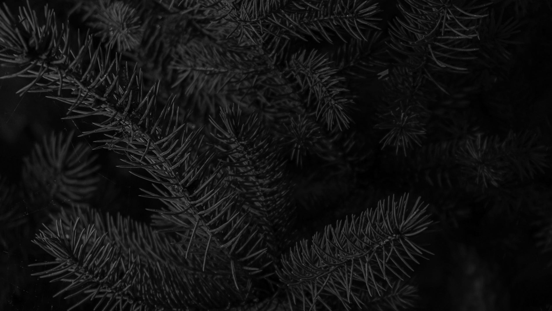 The Big Winter Clearance Event