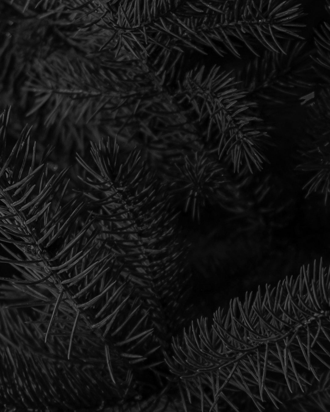 The Big Winter Clearance Event