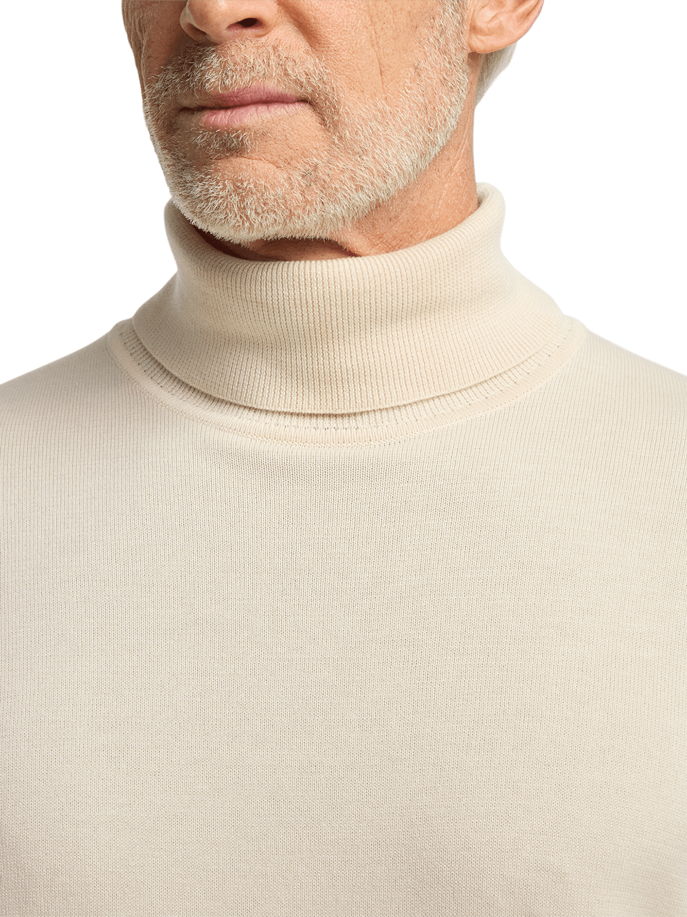 Alternate Image of Supima Cotton Turtleneck-2
