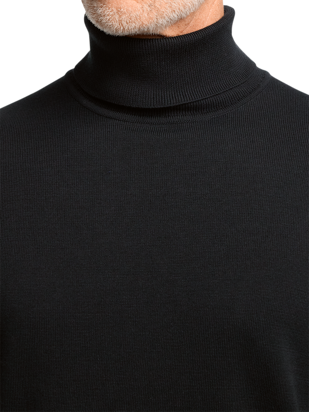 Alternate Image of Supima Cotton Turtleneck-2