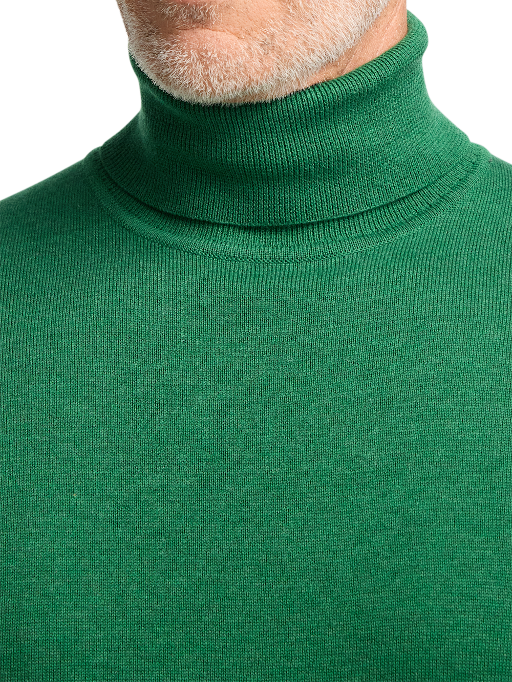 Alternate Image of Supima Cotton Turtleneck-2