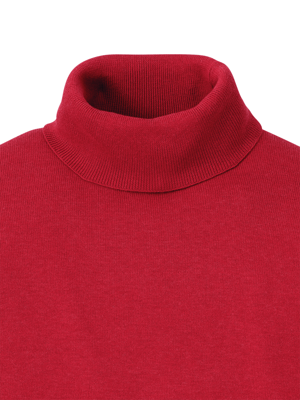 Alternate Image of Supima Cotton Turtleneck-5