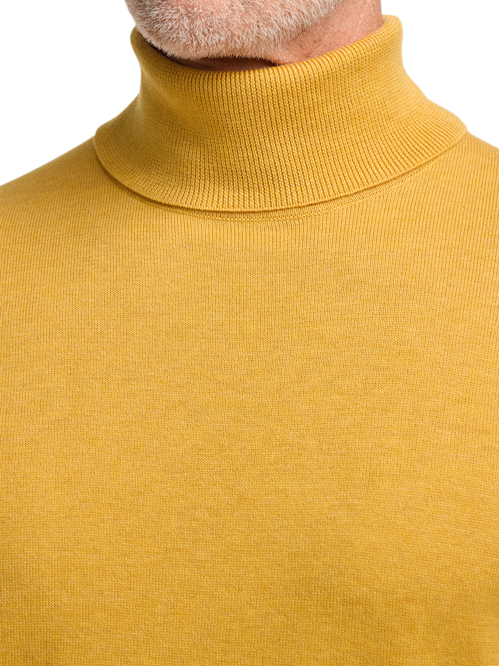 Alternate Image of Supima Cotton Turtleneck-2