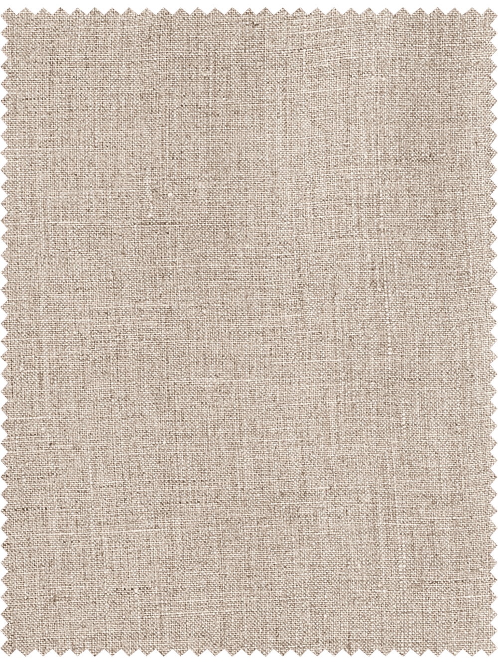 Alternate Image of Linen Pleated Shorts-2#model_pleated front