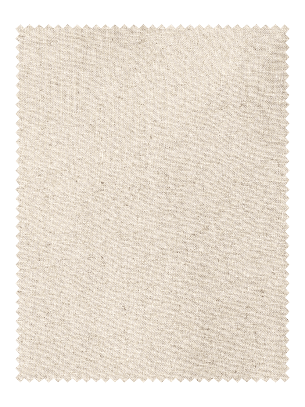 Alternate Image of Linen / Cotton Shorts-2#model_pleated front