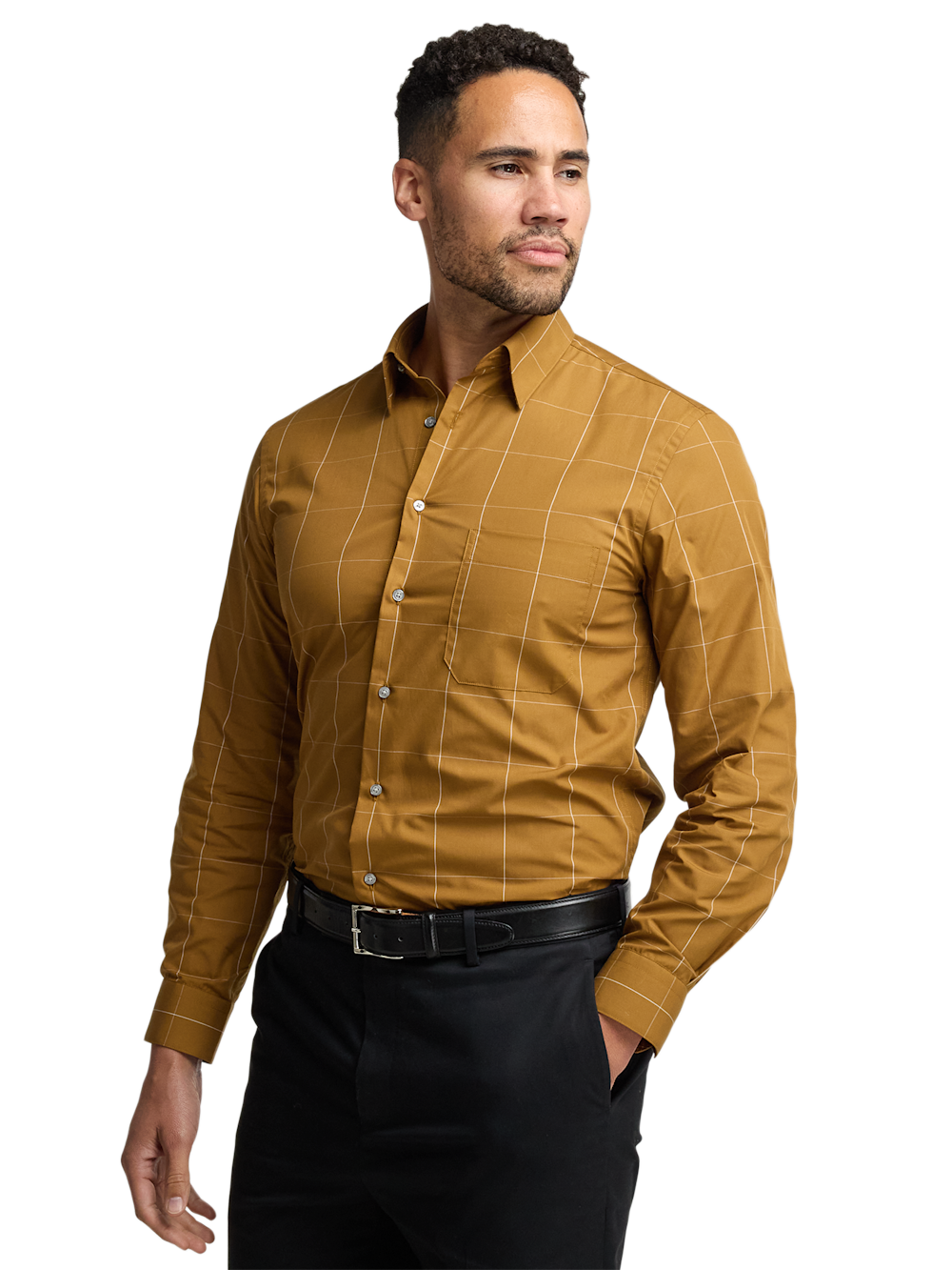 Alternate Image of Cotton Windowpane Casual Shirt-1
