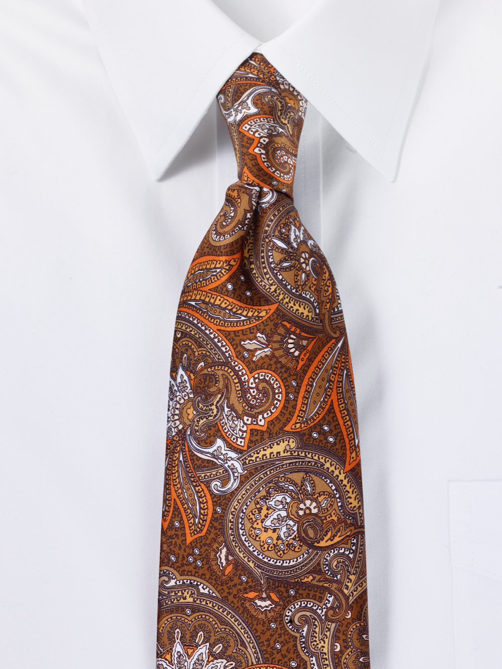 Men's brown multi  Neckwear 