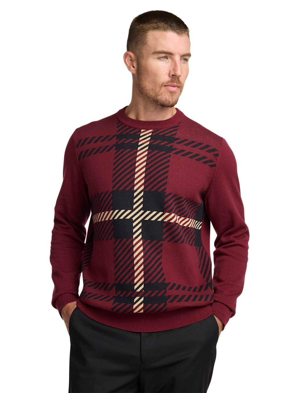 Alternate Image of Cotton Crewneck Sweater-1
