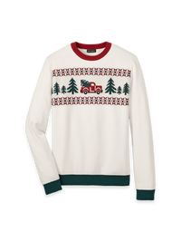 Cotton Christmas Crew Neck Sweater - White Multi