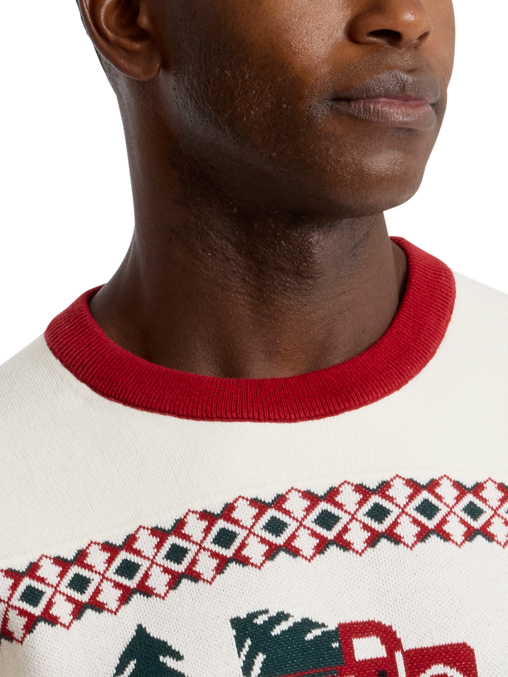 Alternate Shot of Men's white multi  Knitwear  - 2