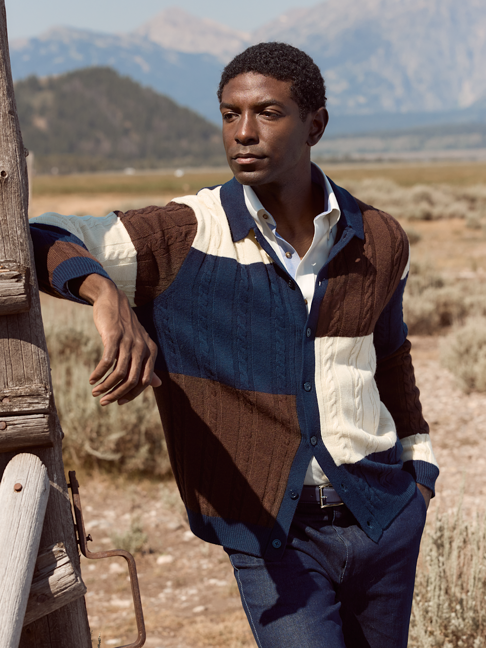 Alternate Shot of Men's brown/blue  Knitwear  - 4
