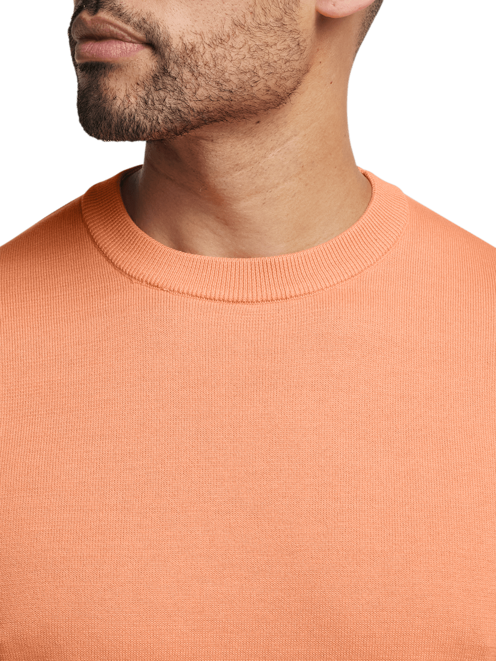Alternate Image of Supima Cotton Crew Neck Sweater-2